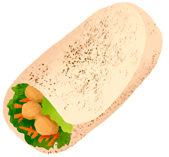 Tortilla wrap on a green plate